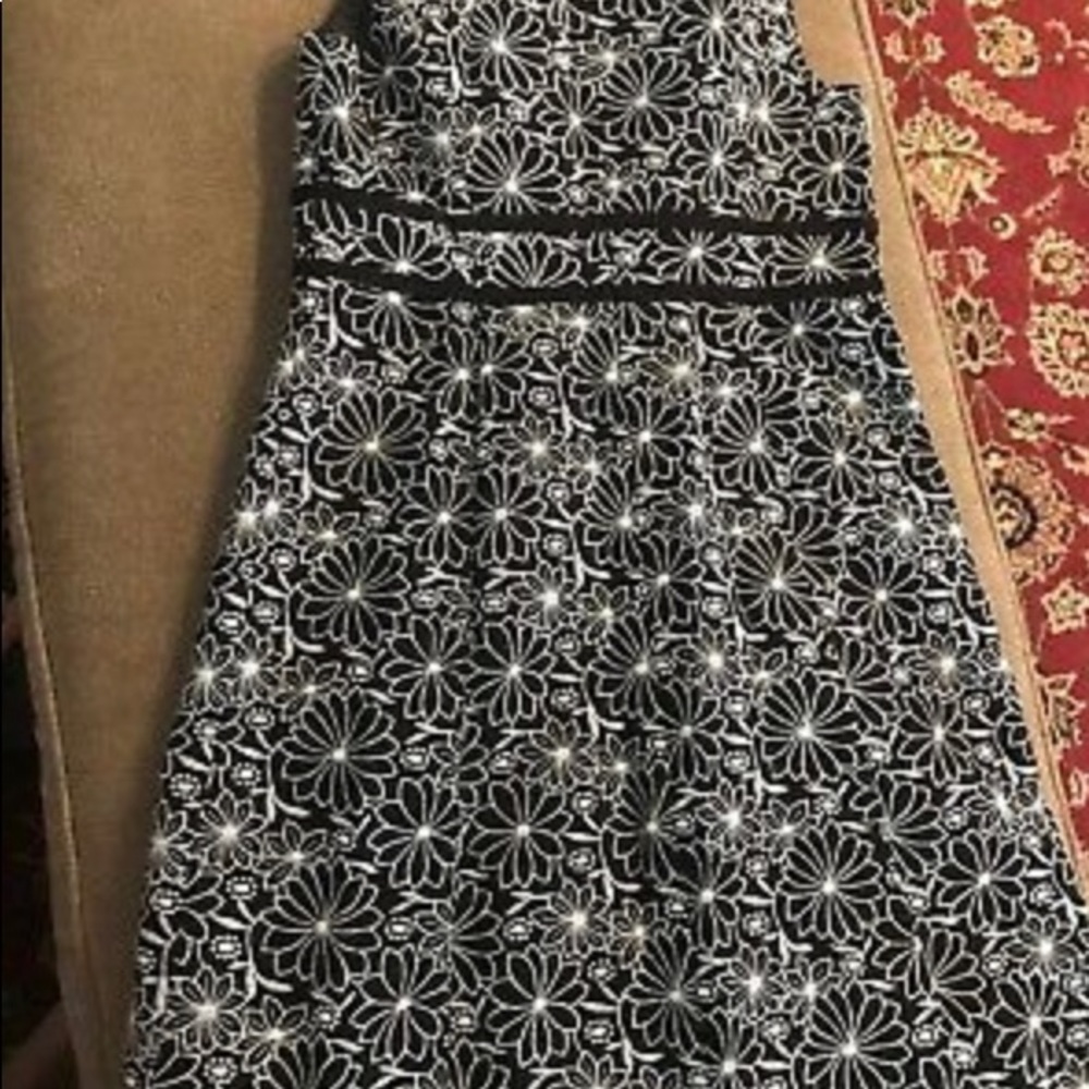 Women’s Dress TALBOTS